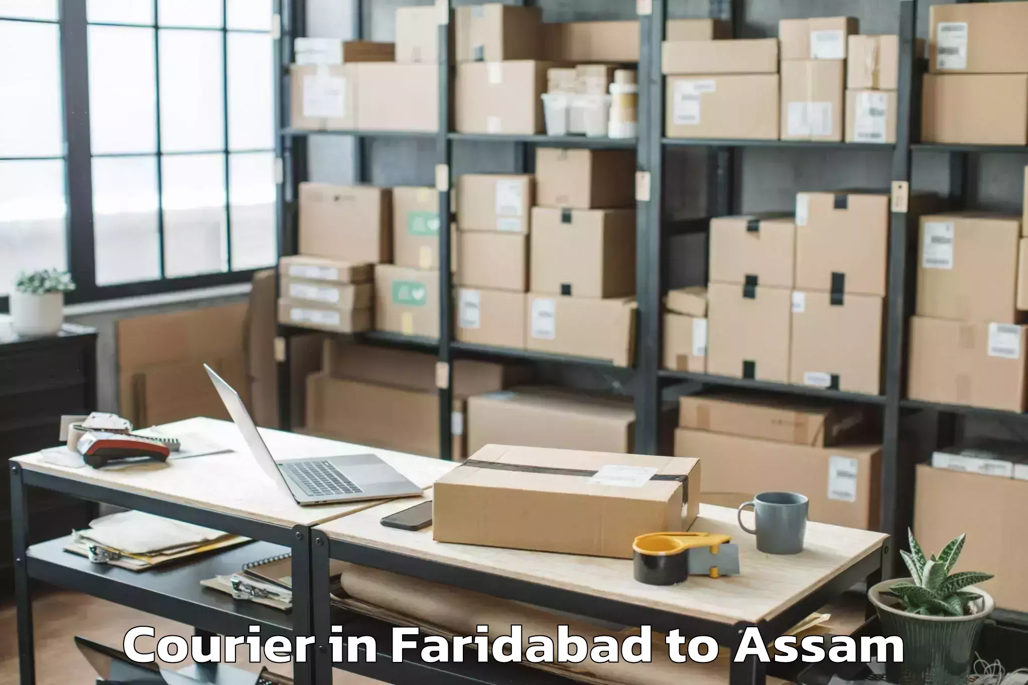 Trusted Faridabad to Dibrugarh University Courier